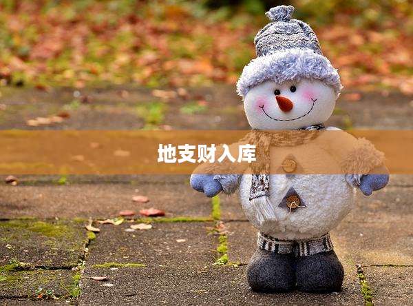 地支财入库