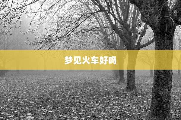 梦见火车好吗