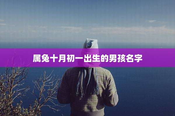 属兔十月初一出生的男孩名字