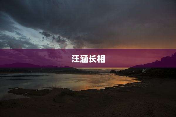 汪涵长相