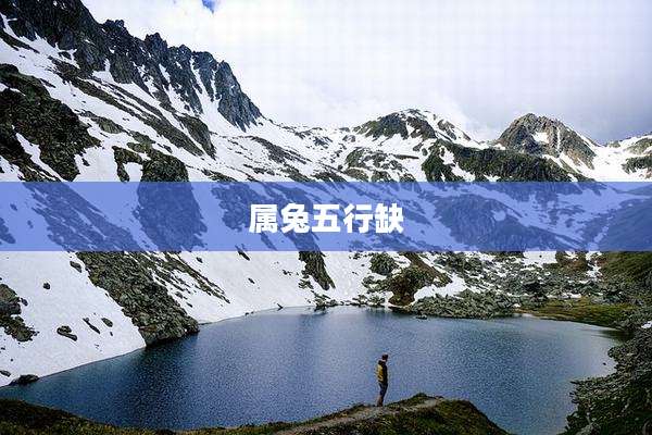 属兔五行缺