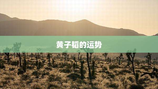黄子韬的运势