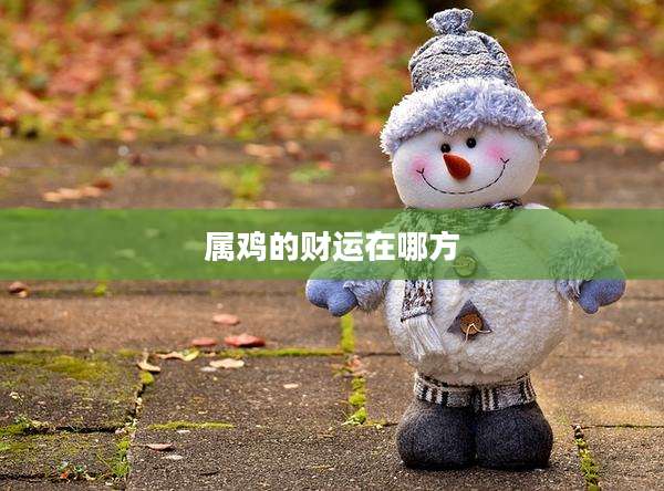 属鸡的财运在哪方