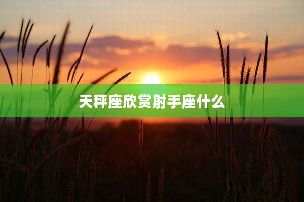 天秤座欣赏射手座什么