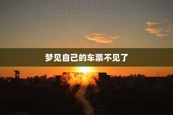 梦见自己的车票不见了
