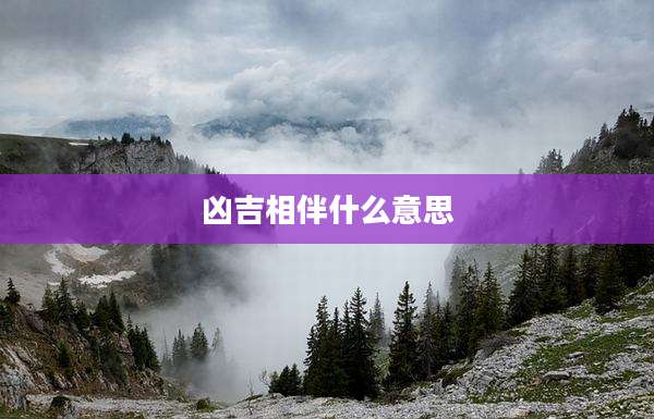 凶吉相伴什么意思