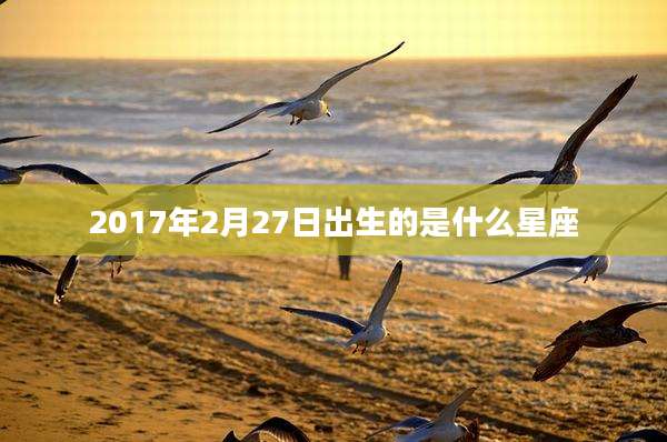 2017年2月27日出生的是什么星座