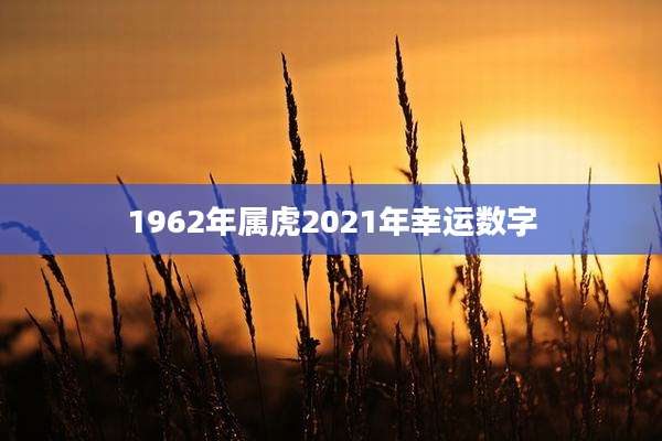 1962年属虎2021年幸运数字