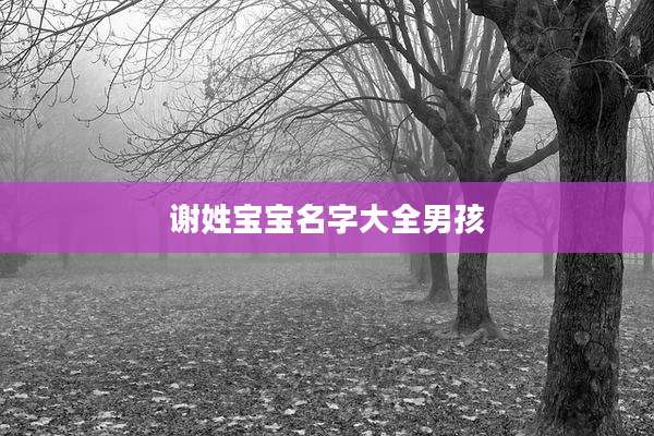 谢姓宝宝名字大全男孩