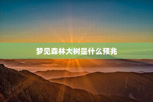 梦见森林大树是什么预兆