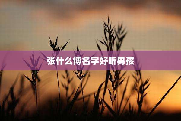 张什么博名字好听男孩
