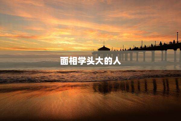 面相学头大的人