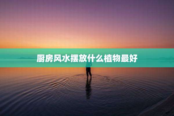 厨房风水摆放什么植物最好