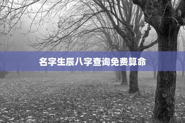 名字生辰八字查询免费算命