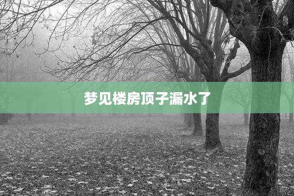 梦见楼房顶子漏水了