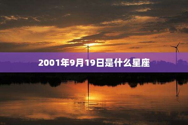 2001年9月19日是什么星座