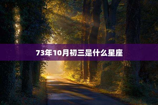 73年10月初三是什么星座