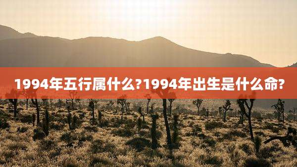 1994年五行属什么?1994年出生是什么命?