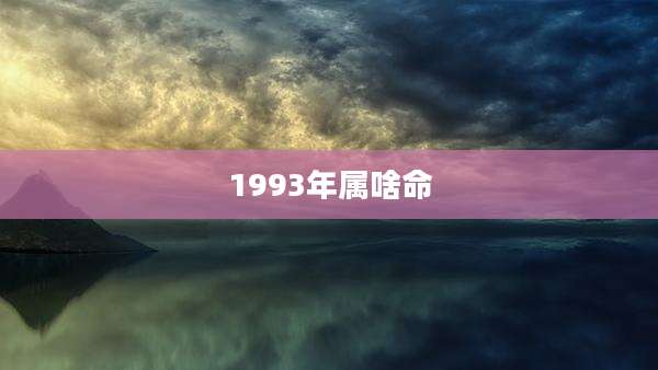 1993年属啥命