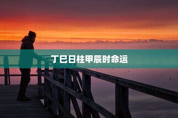 丁巳日柱甲辰时命运