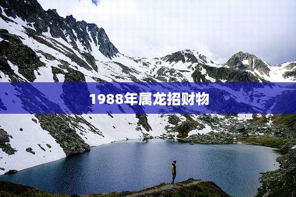 1988年属龙招财物