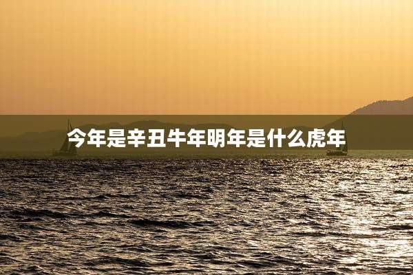 今年是辛丑牛年明年是什么虎年