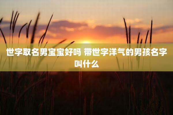 世字取名男宝宝好吗 带世字洋气的男孩名字叫什么