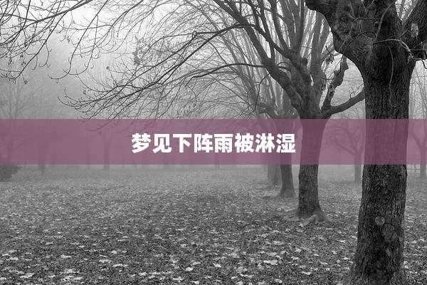梦见下阵雨被淋湿