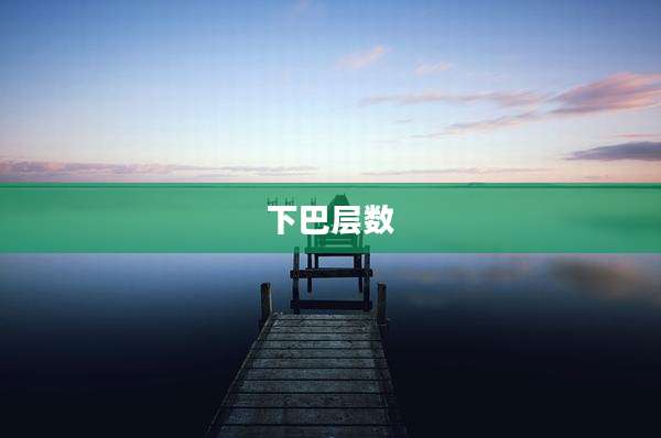 下巴层数