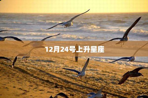 12月24号上升星座