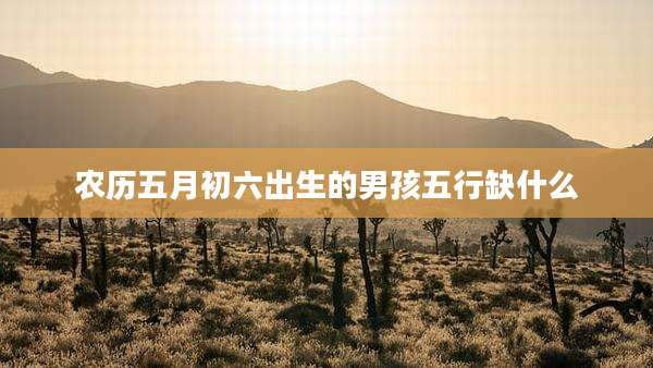 农历五月初六出生的男孩五行缺什么