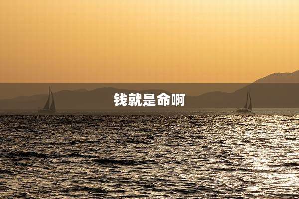 钱就是命啊