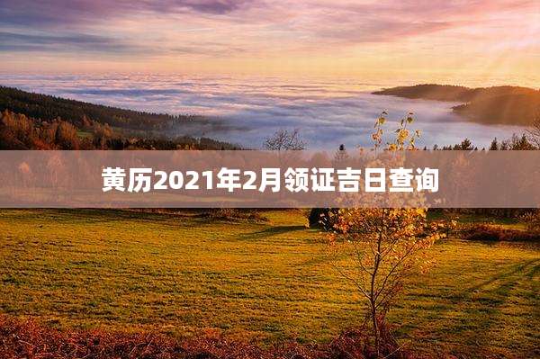 黄历2021年2月领证吉日查询