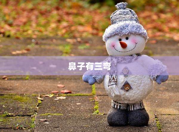 鼻子有三弯