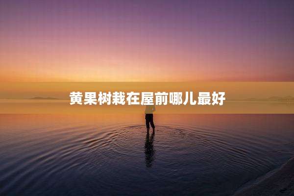 黄果树栽在屋前哪儿最好