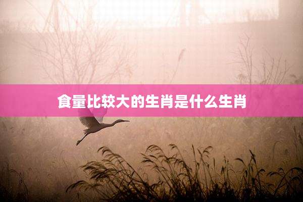 食量比较大的生肖是什么生肖