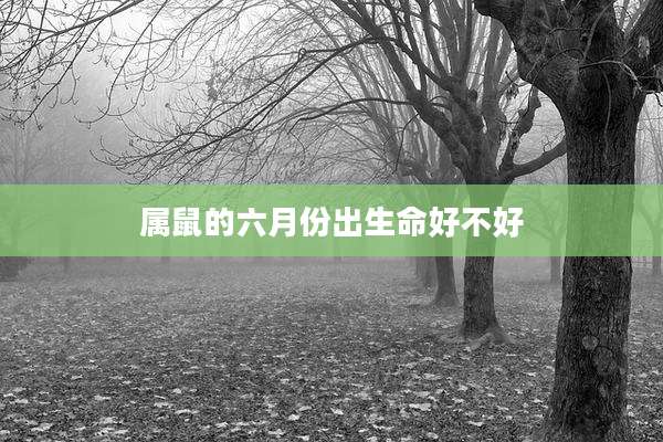 属鼠的六月份出生命好不好