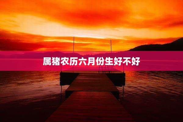 属猪农历六月份生好不好
