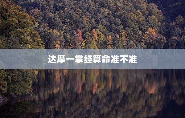 达摩一掌经算命准不准