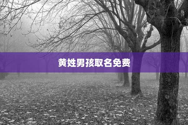 黄姓男孩取名免费