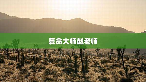 算命大师赵老师