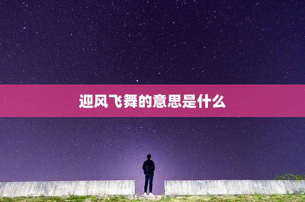迎风飞舞的意思是什么