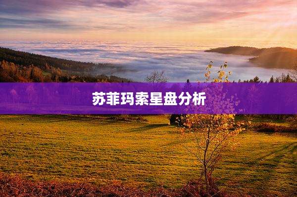 苏菲玛索星盘分析