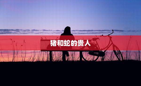 猪和蛇的贵人