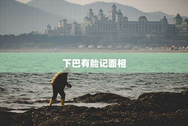 下巴有胎记面相