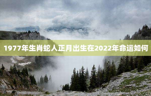 1977年生肖蛇人正月出生在2022年命运如何