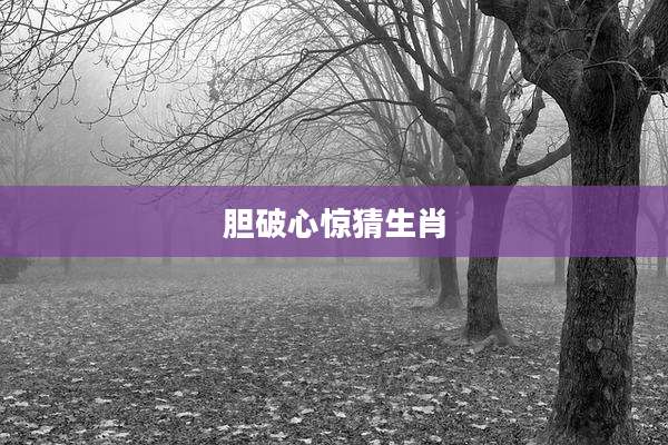 胆破心惊猜生肖