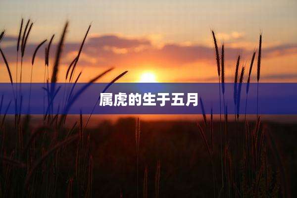 属虎的生于五月