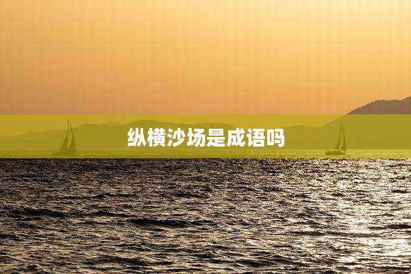 纵横沙场是成语吗