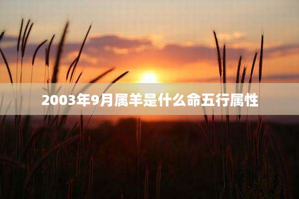 2003年9月属羊是什么命五行属性